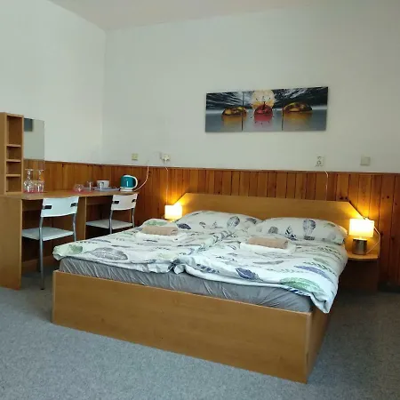 Prazdninovy Dum Na Panorame * Jáchymov