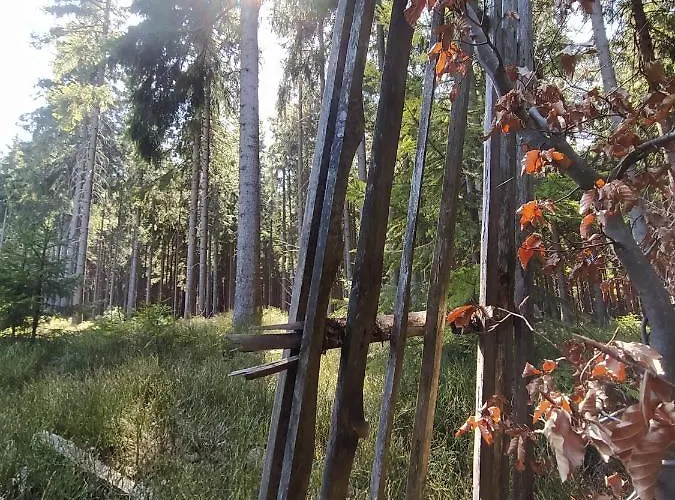 Prazdninovy Dum Na Panorame Pensionat Jáchymov