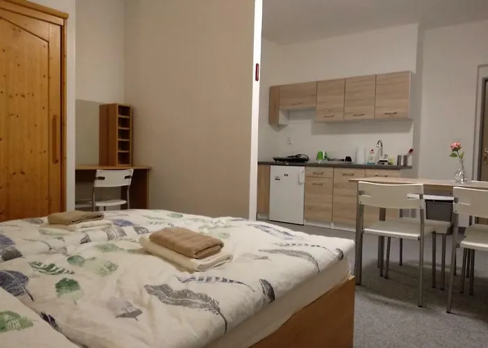 Prazdninovy Dum Na Panorame Jáchymov